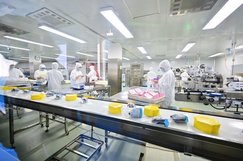 餐桌上的安全衛(wèi)士 走進(jìn)沈陽綠色工廠，揭秘食品產(chǎn)業(yè)的生產(chǎn)革命